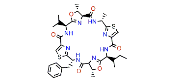 Patellamide C